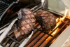 Газовый гриль Nexgrill Prime BISON 5B фото