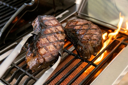 Газовый гриль Nexgrill Prime BISON 5B фото